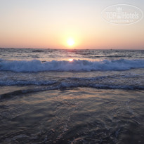 фото из отзыва ID 1717747