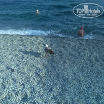 фото из отзыва ID 1715310