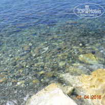 Dionysos Central 3* Чистая вода моря - Фото отеля