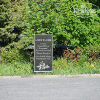 фото из отзыва ID 1715854