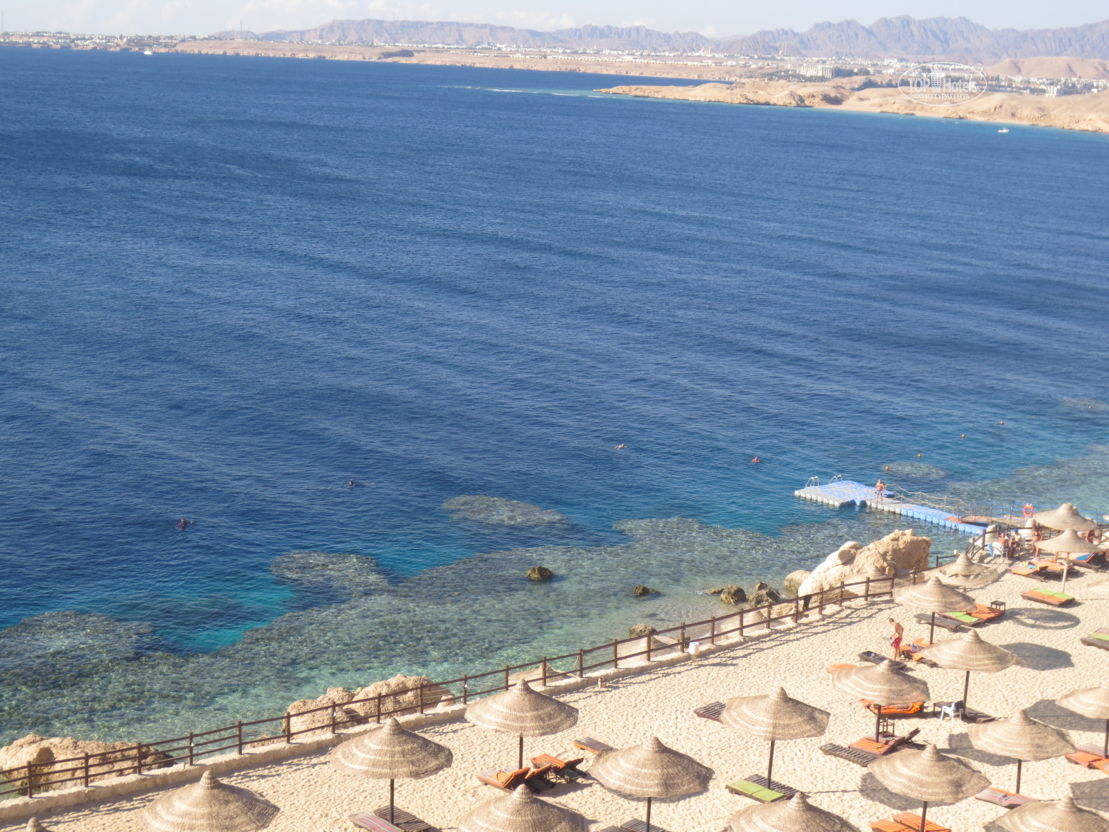 Blue bay resort spa 5. Reef Oasis Blue Bay Resort & Spa. Reef Oasis Blue Bay 5*. Reef Oasis Blue Bay 2023. Reef Oasis Blue Bay Resort Spa 5 карта отеля.