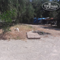 фото из отзыва ID 1732188