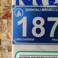 фото из отзыва ID 1733141