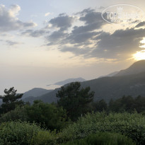 фото из отзыва ID 1739859