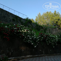 фото из отзыва ID 1740198