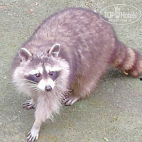 фото из отзыва ID 1740198