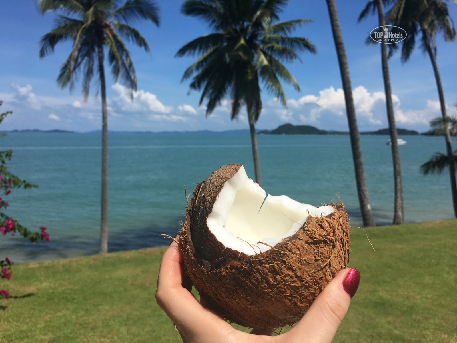 Coconut island. Кокосы на Бали. Кокос Исланд. Кокосовые острова килинг. Кокос (остров, Гуам).