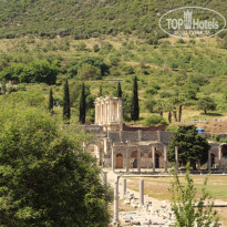 фото из отзыва ID 1746647