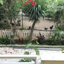 фото из отзыва ID 1747366