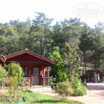 фото из отзыва ID 1747970