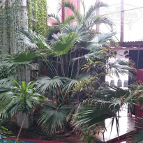 фото из отзыва ID 1758367