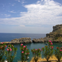 фото из отзыва ID 1759294