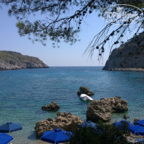 фото из отзыва ID 1759294