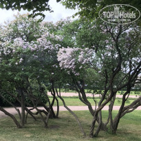 фото из отзыва ID 1755420