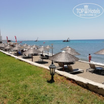 фото из отзыва ID 1760513