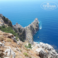 фото из отзыва ID 1764646