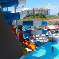 фото из отзыва ID 1768929