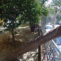 фото из отзыва ID 1769121