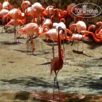 фото из отзыва ID 1762673