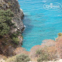 фото из отзыва ID 1772459