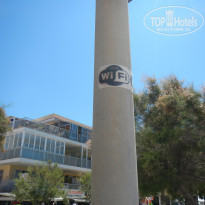 фото из отзыва ID 1775374