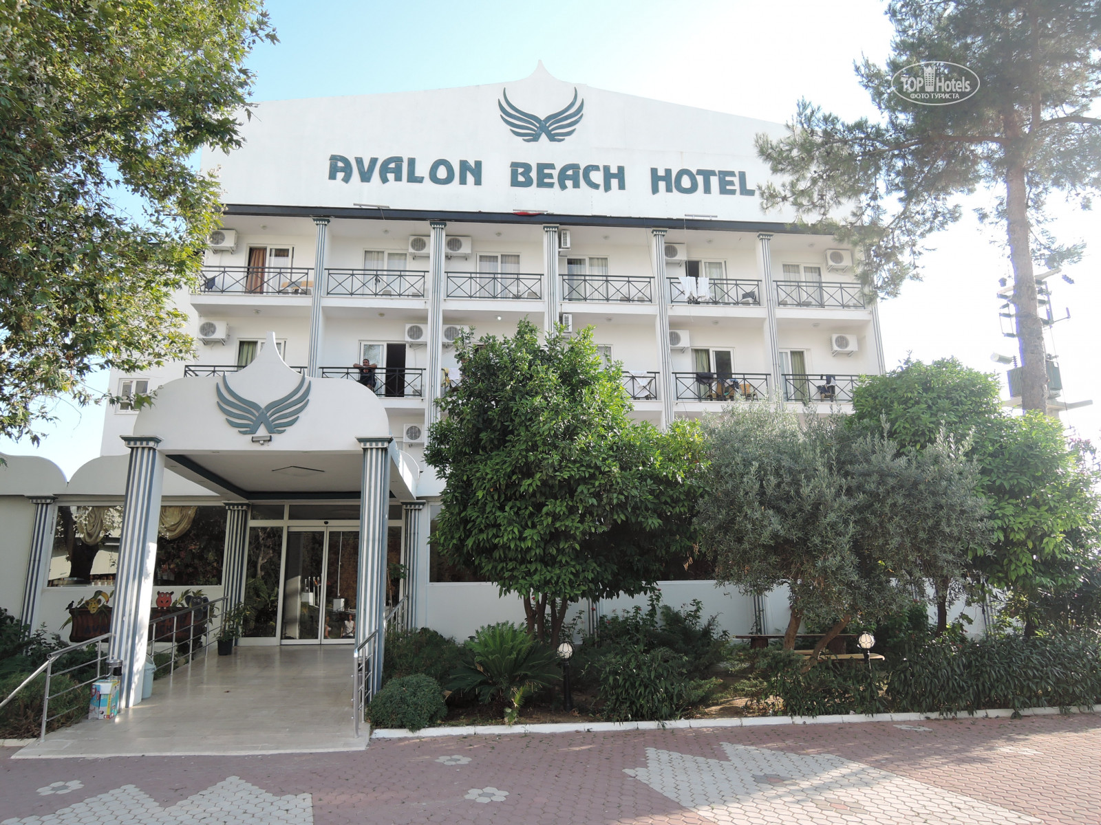 Elysium elite 4 сиде. Элизиум Элит отель Сиде. Avalon-Beach-Hotel Турция. Elysium отель Турция. Elysium Elite Hotel & Spa (ex. Avalon Beach Hotel) Сиде Кызылот.