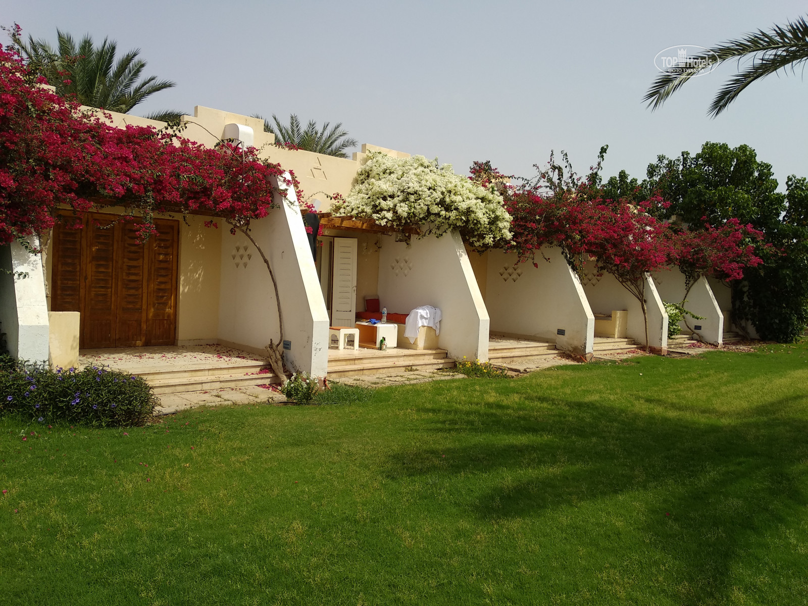 Tirana Dahab Resort