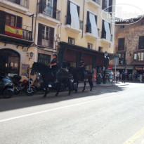 фото из отзыва ID 1775374