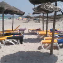 фото из отзыва ID 1781432