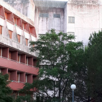 фото из отзыва ID 1781512