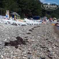 фото из отзыва ID 1781512