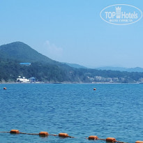 фото из отзыва ID 1781512