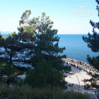 фото из отзыва ID 1781512