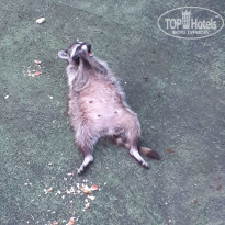 фото из отзыва ID 1781512