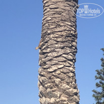 фото из отзыва ID 1785247