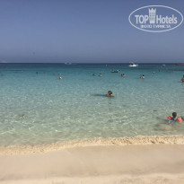 фото из отзыва ID 1785247