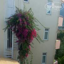 фото из отзыва ID 1786232