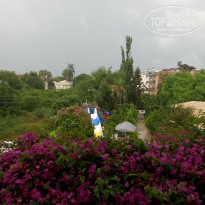 фото из отзыва ID 1786232