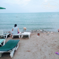 фото из отзыва ID 1788384