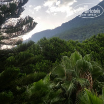 фото из отзыва ID 1792234