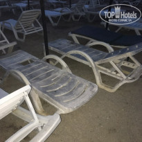 фото из отзыва ID 1793322