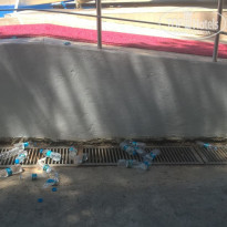 фото из отзыва ID 1793405