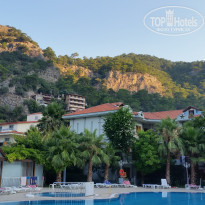 фото из отзыва ID 1792234