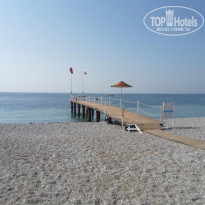 фото из отзыва ID 1796884