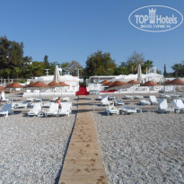 фото из отзыва ID 1796884