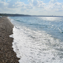 фото из отзыва ID 1797328