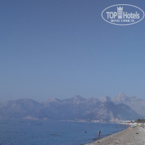 фото из отзыва ID 1797328