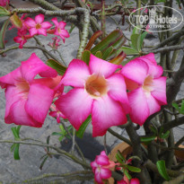 фото из отзыва ID 180894