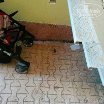 фото из отзыва ID 1802853