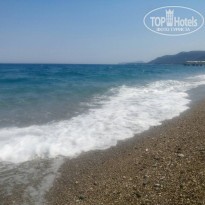 фото из отзыва ID 1805006